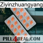 Ziyinzhuangyang 27